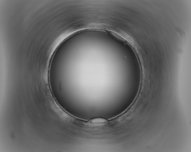 X0000115491296200911061259