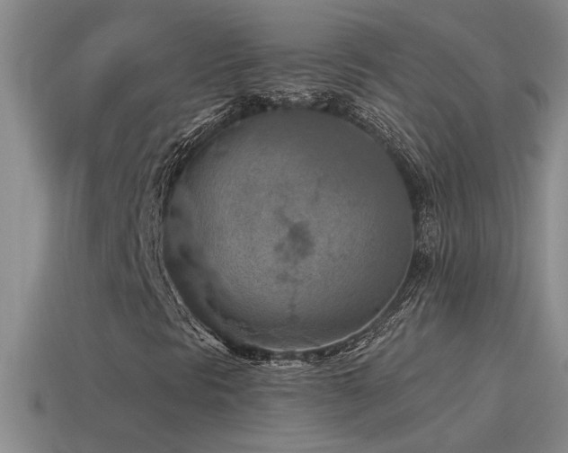 X0000115491297200911061259