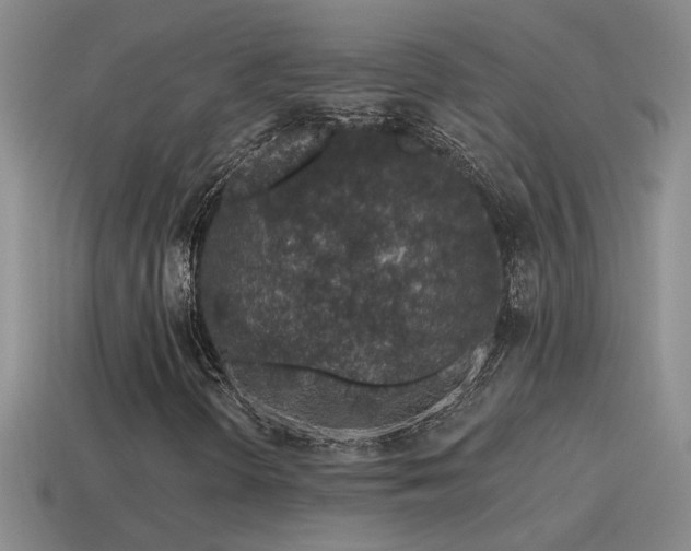 X0000115491298200911061259