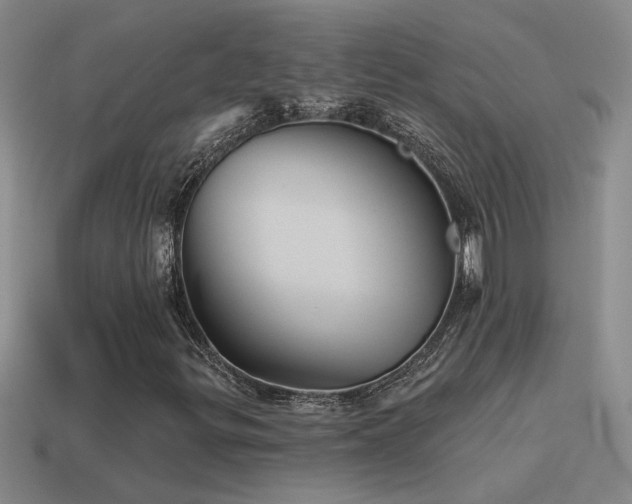 X0000115491299200911061259