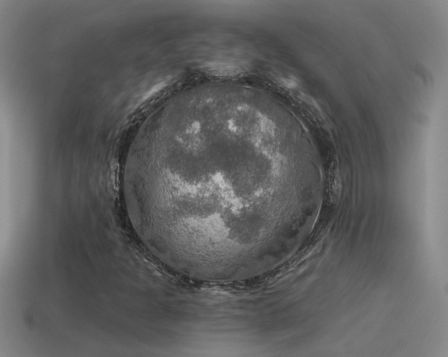 X0000115491301200911061259