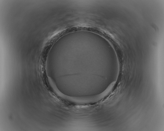 X0000115491303200911061259
