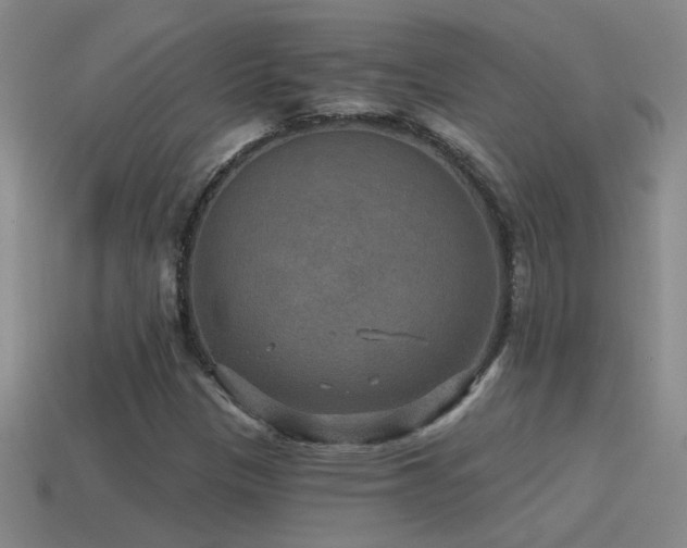 X0000115491305200911061259