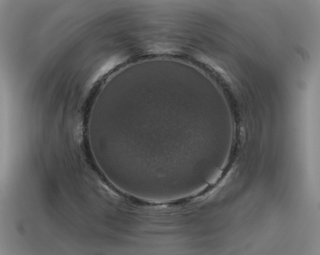X0000115491306200911061259