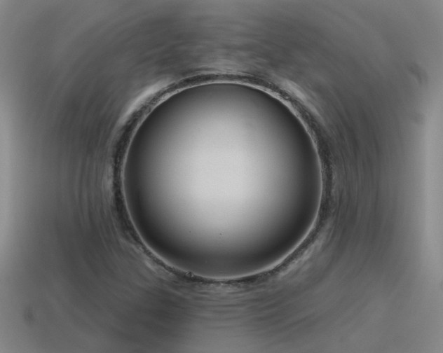 X0000115491307200911061259