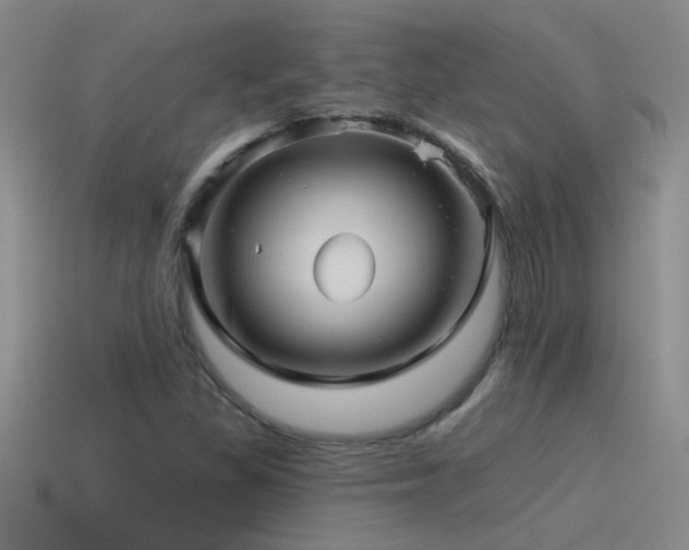 X0000115491309200911061259