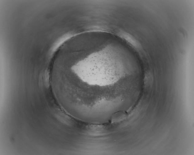 X0000115491310200911061259