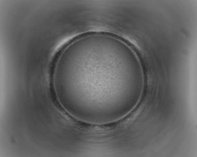X0000115491311200911061259