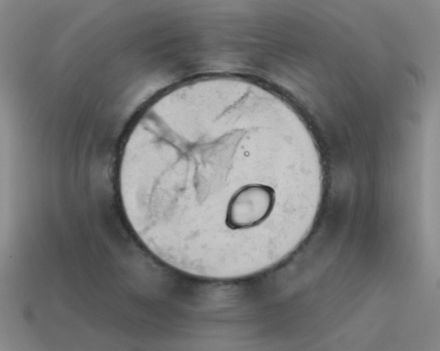 X0000115491314200911061259