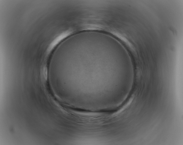 X0000115491317200911061259