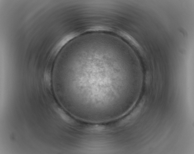 X0000115491321200911061259