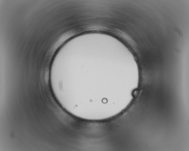 X0000115491322200911061259