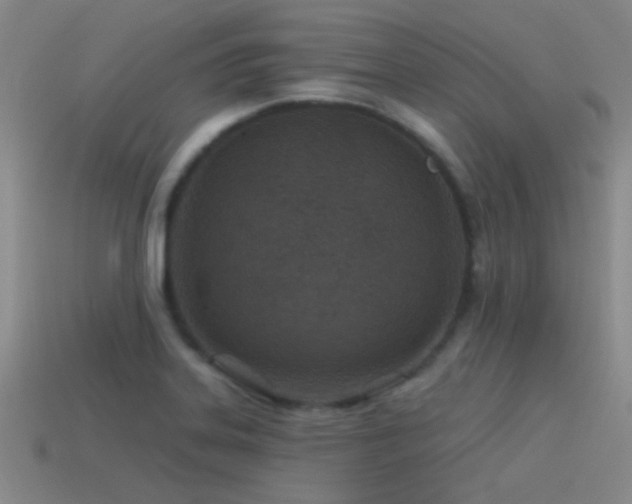 X0000115491323200911061259