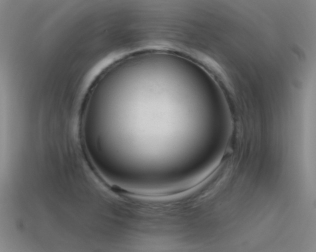 X0000115491326200911061259
