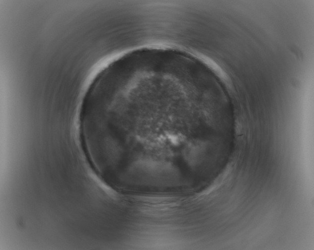 X0000115491327200911061259