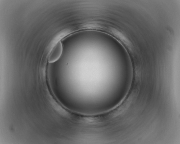 X0000115491330200911061259