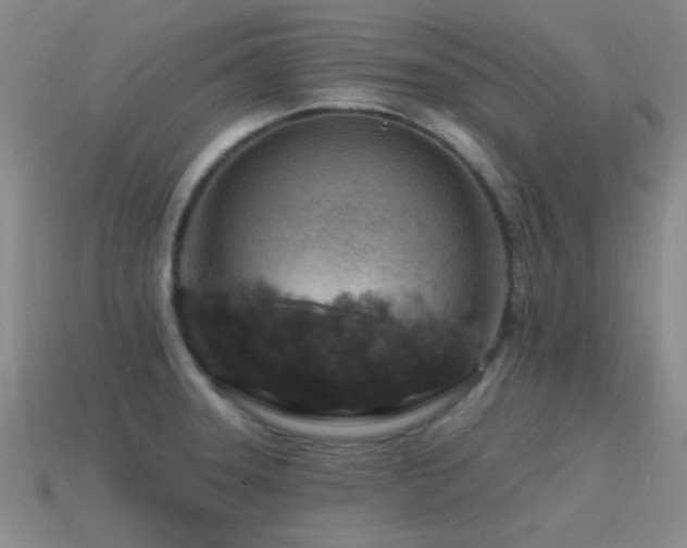 X0000115491331200911061259