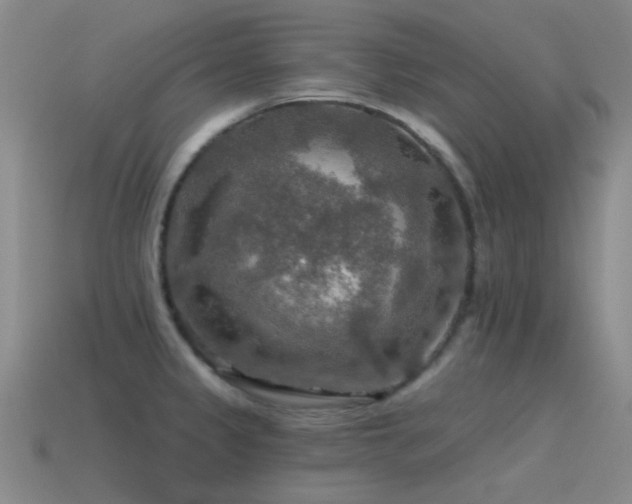 X0000115491333200911061259
