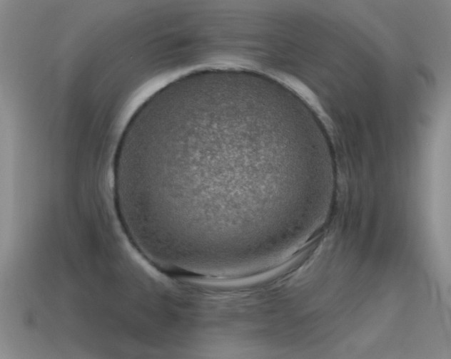 X0000115491335200911061259