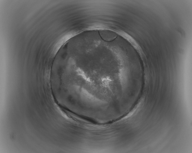 X0000115491337200911061259