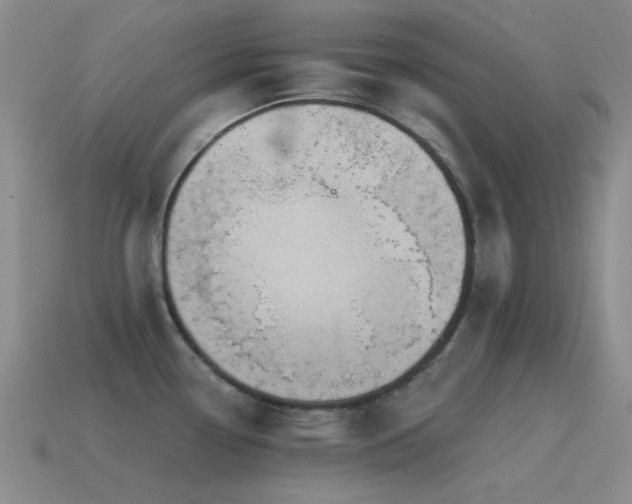 X0000115491338200911061259