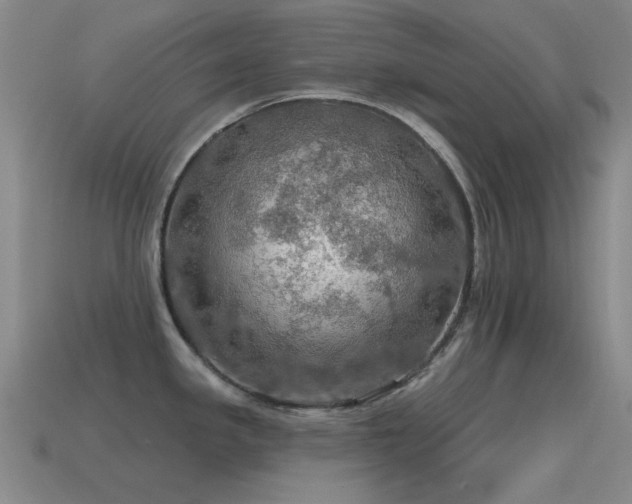 X0000115491341200911061259
