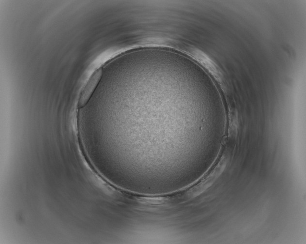 X0000115491342200911061259