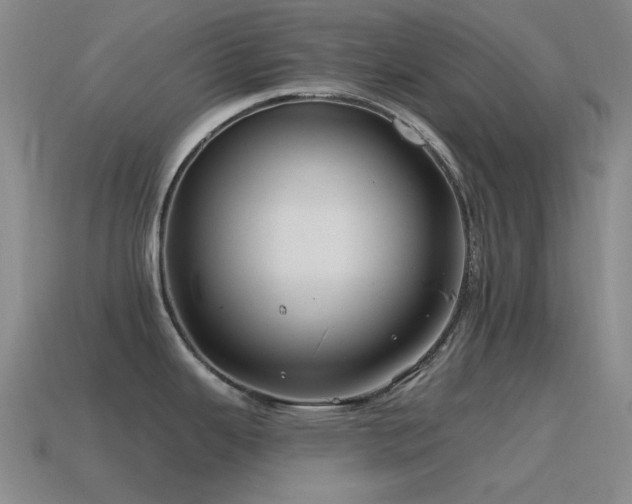 X0000115491343200911061259