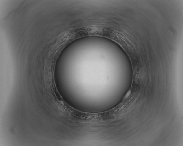 X0000115491345200911061259