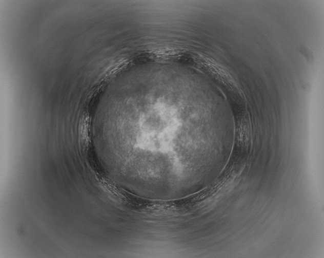 X0000115491346200911061259
