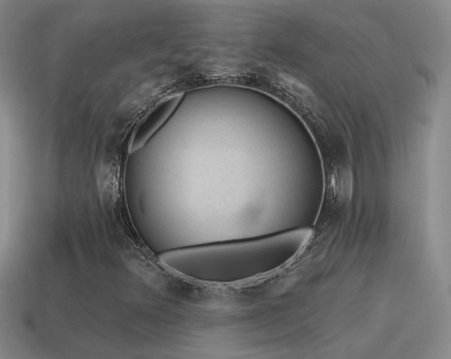 X0000115491348200911061258