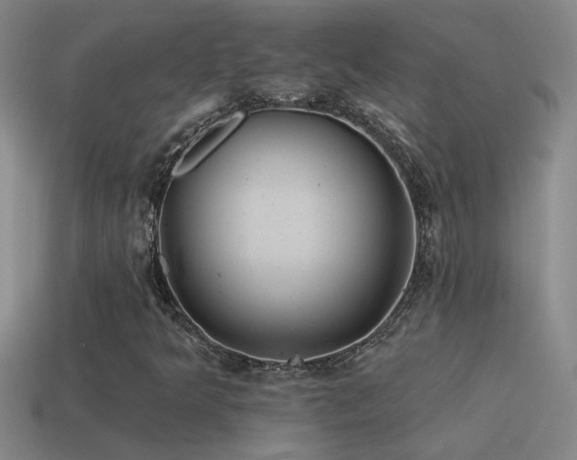 X0000115491349200911061258