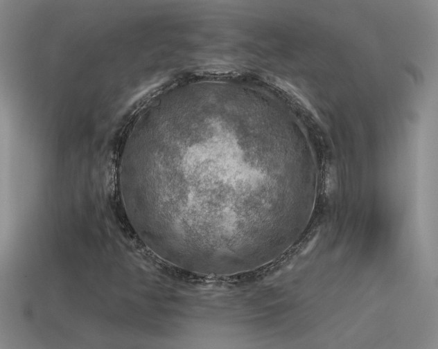 X0000115491350200911061258