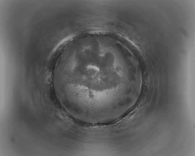 X0000115491351200911061258