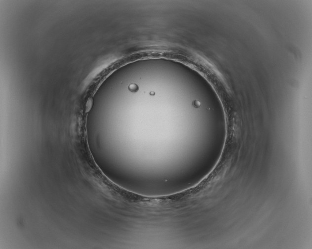 X0000115491352200911061258