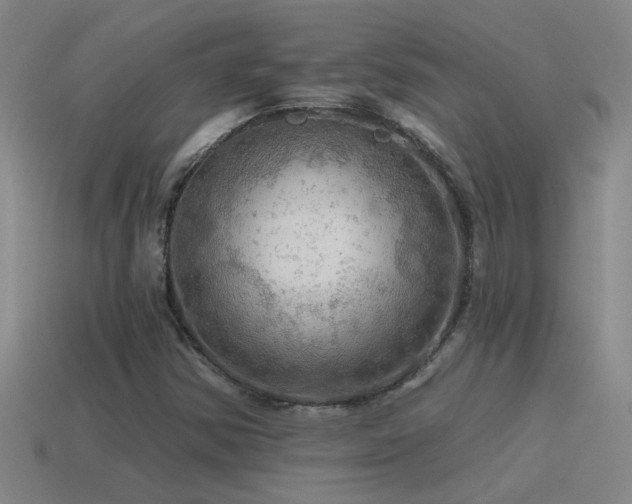 X0000115491354200911061258