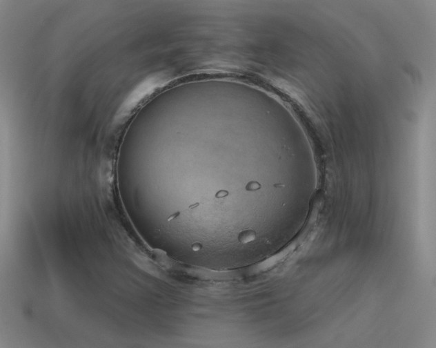 X0000115491355200911061258