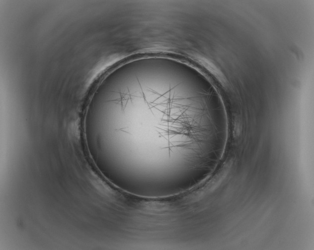 X0000115491356200911061258