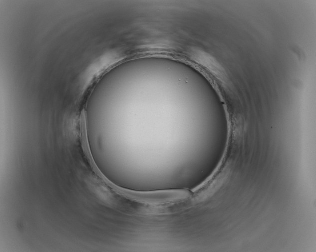 X0000115491357200911061258