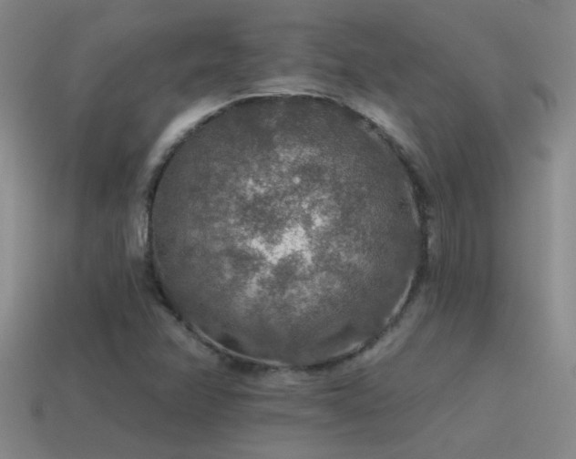 X0000115491358200911061258