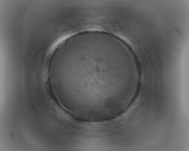 X0000115491359200911061258