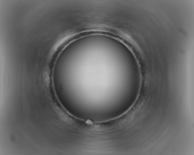 X0000115491360200911061258