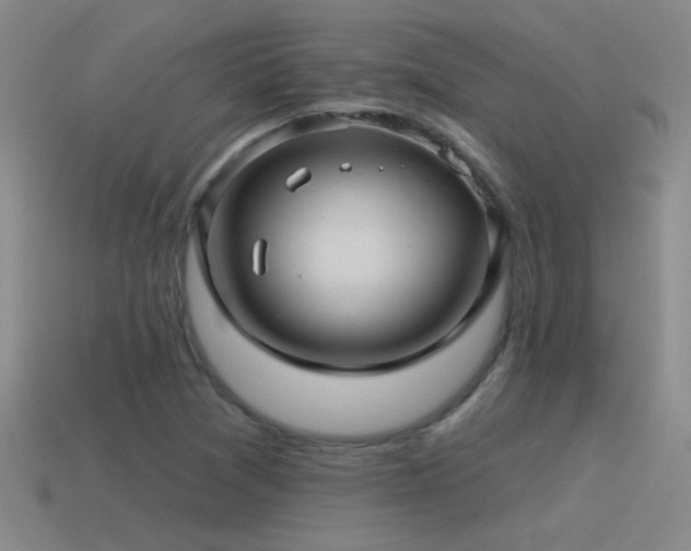 X0000115491361200911061258
