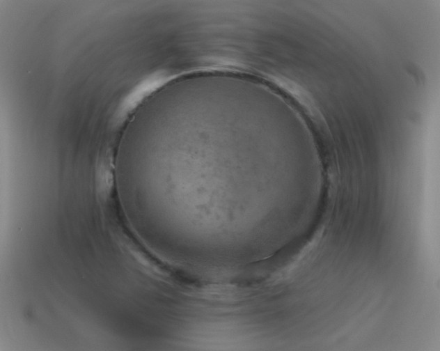X0000115491363200911061258