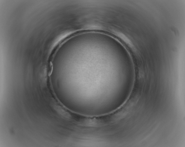 X0000115491364200911061258
