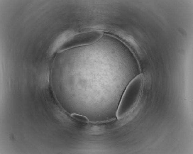 X0000115491365200911061258