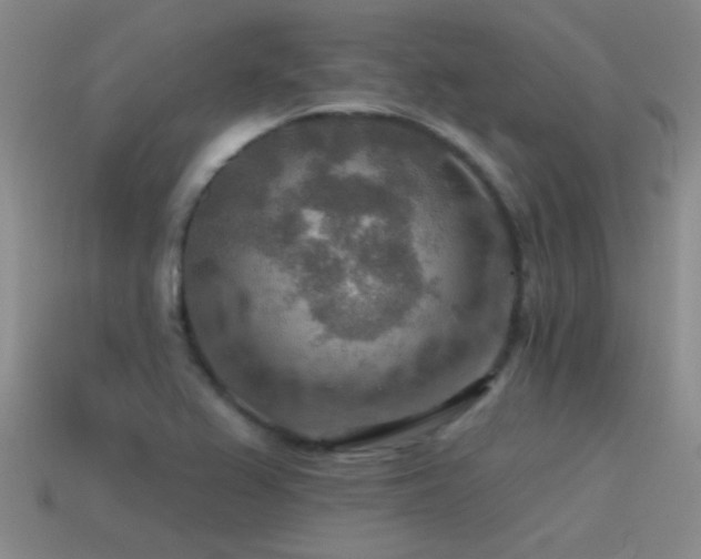 X0000115491367200911061258