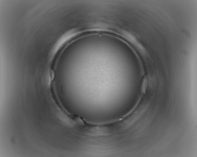 X0000115491368200911061258