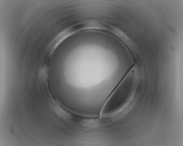 X0000115491369200911061258