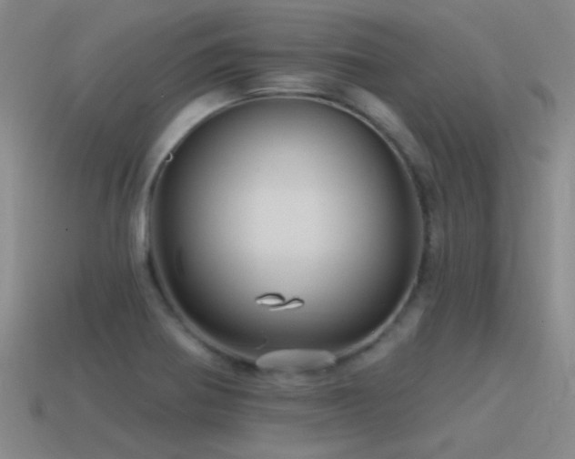 X0000115491370200911061258